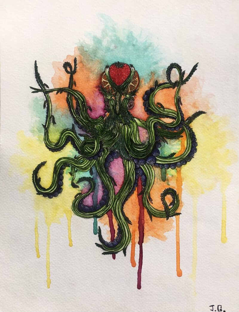 Octopus Series